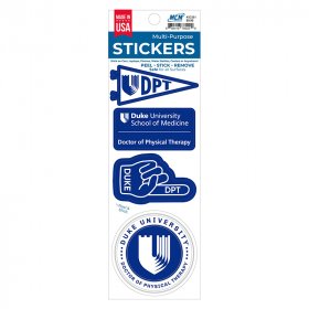 Doctor of Physical Therapy Vinyl Multi-Purpose Sticker Sheet